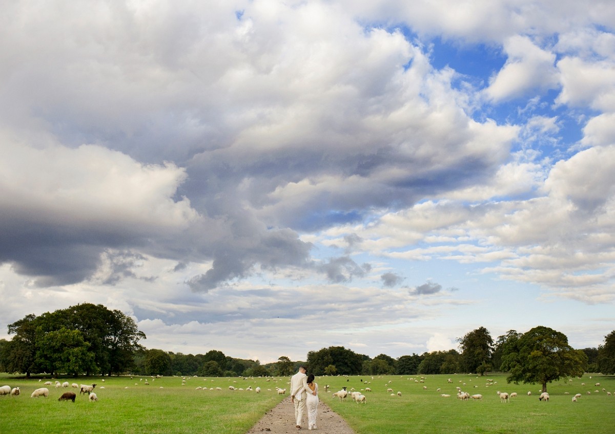 walking through the field